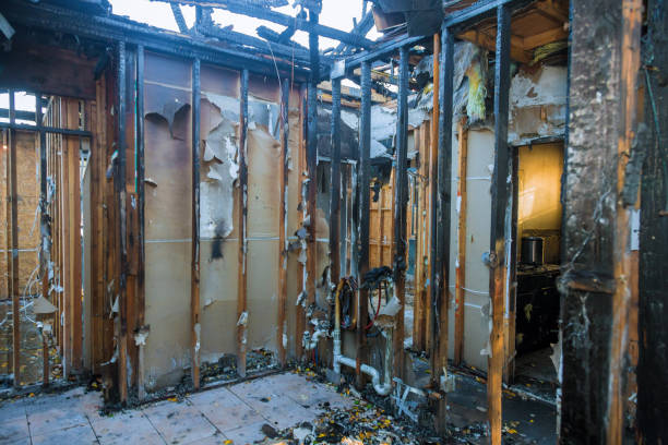 Professional Smoke Damage Removal technician working in Gifford, FL